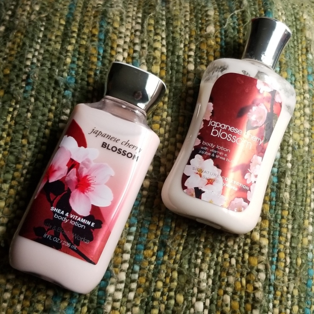 Japanese Cherry Blossom